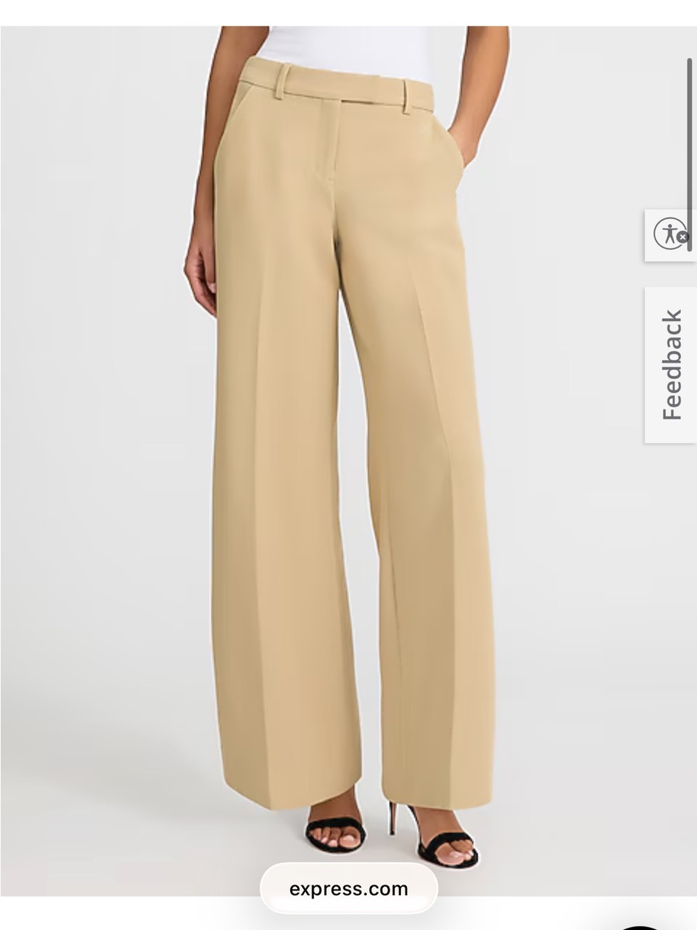 Express Wide-Leg Trousers in Beige